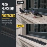 Pack of 10 Plastic Bird Deterrent Spikes for Birds, Pigeon, Squirrel, Raccoon, Crow, and Cat Anti-Climb Strips to Deter Theft - Suitable for Wall, Windowsill, Railing, Fence, and Roof - Grey