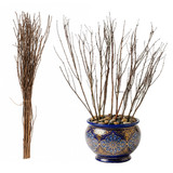 Uniquewise 37-inch Silver Willow Branches for Home Decor and Events, Brown