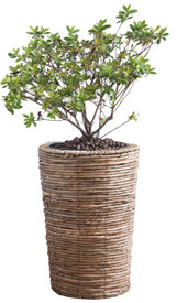 Wicker Banana Rope Tall Floor Planter with Metal Pot
