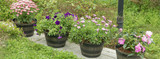 Decorative Planters