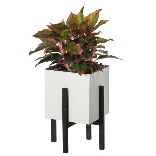 Indoor and Outdoor White Iron Planting Box with Black Wooden Frame