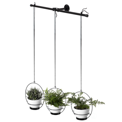 Buy Wholesale QI004482.2 Decorative Black Metal Wall Planter Hooks