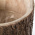 Wooden Stump Tree Log with Bark Planter Pot with Small Tree Branch Legs