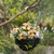 Durable Plastic Lace Ultimate Hanging Baskets Tomato, Flower, and Herb Outdoor Flower Planter