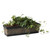 Outdoor and Indoor Rectangle Trough Plastic Planter Box, Vegetables or Flower Planting Pot, Brown