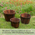 Rustic Wooden Whiskey Barrel Planter with Durable Medal Handles and Drainage Holes - Perfect for Indoor and Outdoor Plants, Herbs, and Vegetables