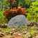 Outdoor Natural Artificial Round Rock Decor for Gardens, Lawns, and Landscapes
