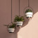 Decorative Metal Hanging Planter with Tree Pots for Flowers, White and Black