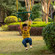 Outdoor Playground Gym Heavy Duty Kids Fun Hanging Trapeze Bar, Green Steel Bar and Yellow Chain Swing Playsets Outdoor Playground Gym Heavy Duty Kids Fun Hanging Trapeze Bar, Green Steel Bar and Yellow Chain Swing Playsets