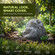 Gardenised Artificial Rock Cover – Weather-Resistant Fiberglass Garden Landscape Utility Concealer for Valves, Pumps, Irrigation Systems, Septic Covers, and Outdoor Equipment, Slate Gray Finish