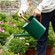 Gardenised 1 Gallon Galvanized Metal Watering Can with Long Spout & Sprinkler Head for Indoor & Outdoor Use Ideal for Garden Flowers Potted Plants Houseplants Modern Home Accessories