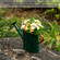 Gardenised 1 Gallon Galvanized Metal Watering Can with Long Spout & Sprinkler Head for Indoor & Outdoor Use Ideal for Garden Flowers Potted Plants Houseplants Modern Home Accessories