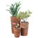 Wicker Banana Rope Tall Floor Planter with Metal Pot