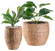 Water Hyacinth Round Floor Planter with Metal Pot