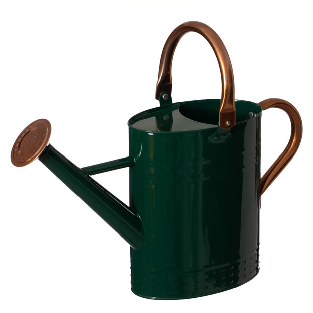 Gardenised 1 Gallon Galvanized Metal Watering Can with Long Spout & Sprinkler Head for Indoor & Outdoor Use Ideal for Garden Flowers Potted Plants Houseplants Modern Home Accessories