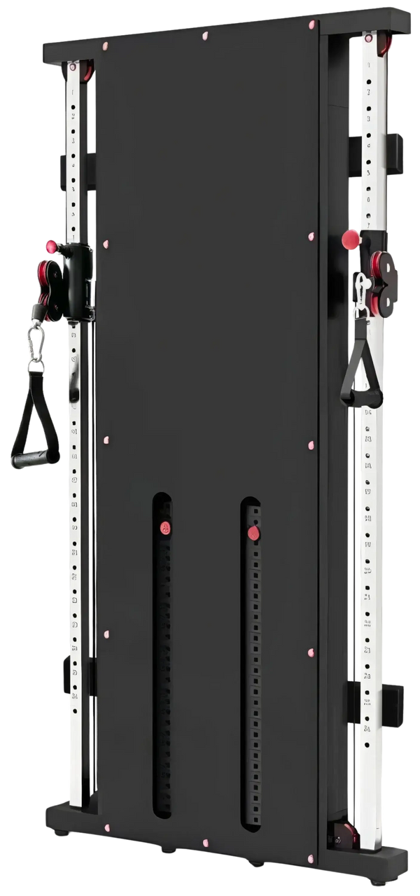 French Fitness Dual Pulley Wall Mounted Cable Column