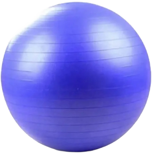 French Fitness Anti Burst Stability Exercise Ball 65cm