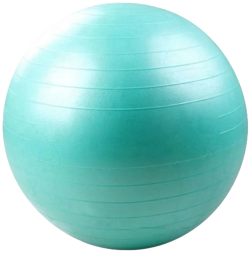 French Fitness Anti Burst Stability Exercise Ball 55cm