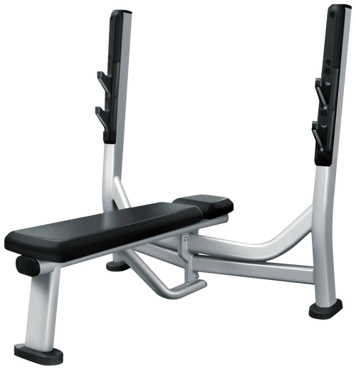 French Fitness FFS Silver Olympic Flat Bench Press