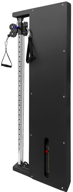 French Fitness Dual Pulley Wall Mounted Cable Column