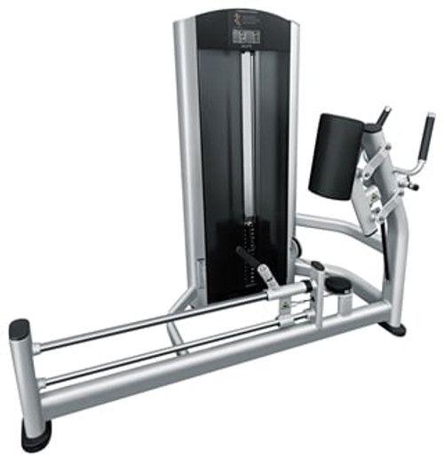 French Fitness FFS Silver Glute Machine