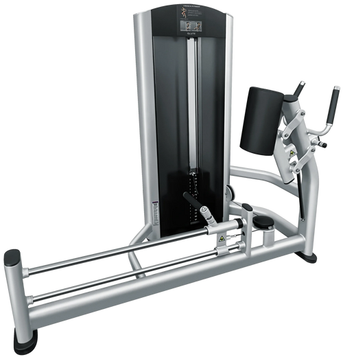 French Fitness FFS Silver Glute Machine
