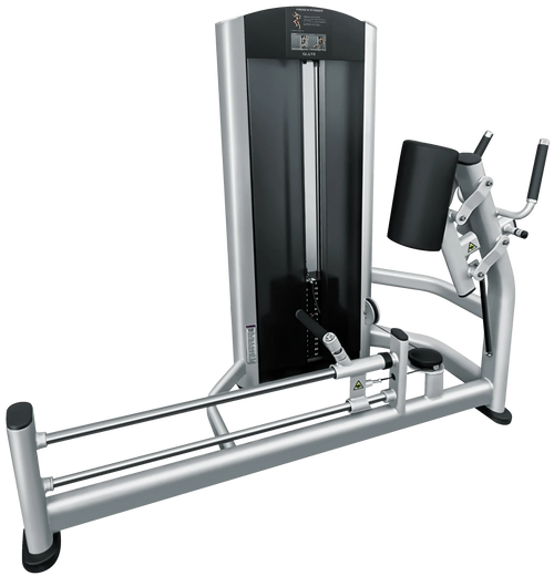 French Fitness FFS Silver Glute Machine