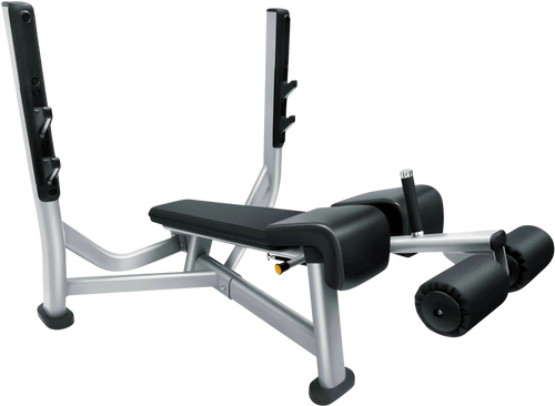 French Fitness FFS Silver Olympic Decline Bench
