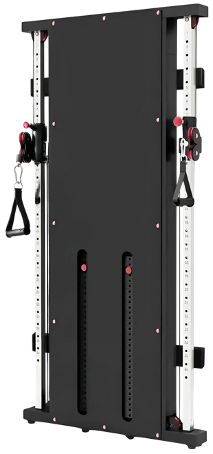 French Fitness Wall Mounted Dual Cable Column Component
