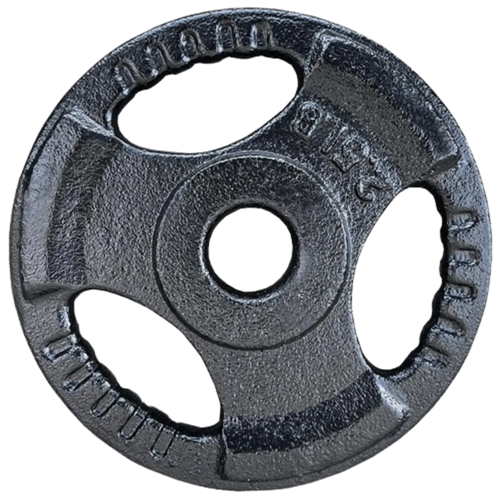 French Fitness Standard Cast Iron 1" Weight Plate 2.5 lbs