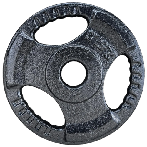 French Fitness Standard Cast Iron 1" Weight Plate 2.5 lbs