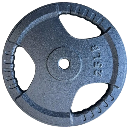 French Fitness Standard Cast Iron 1" Weight Plate 25 lbs