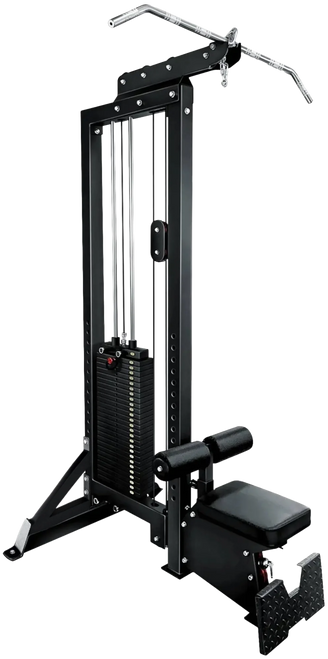 French Fitness Monster Lat Pulldown / Low Row