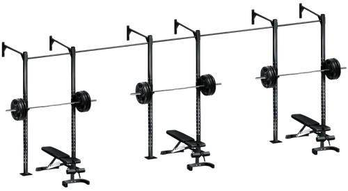 French Fitness Wall Mount Rig & Rack System 1