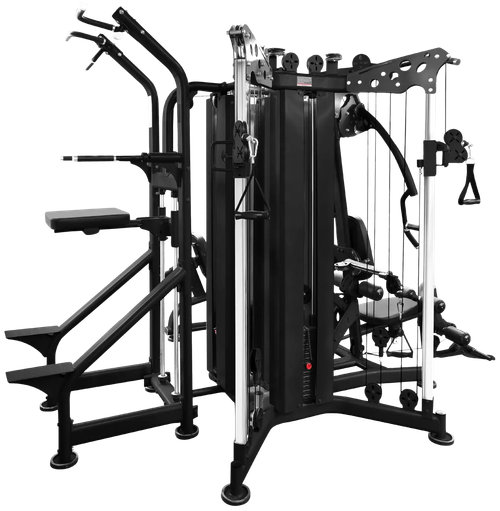 French Fitness X20 4 Station Functional Trainer & Home Gym System