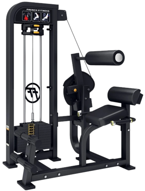 French Fitness Tahoe Selectorized Back Extension