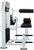 French Fitness Shasta Abdominal Crunch / Lower Back