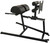 French Fitness GHD Glute Ham Developer Roman Chair