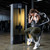 French Fitness FFS Silver Selectorized Abdominal Crunch