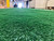 French Fitness Artificial Grass Synthetic Lawn Turf Flooring Roll 65.5' x 6.5' - Density: 21000 / 9500D