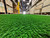 French Fitness Artificial Grass Synthetic Lawn Turf Flooring Roll 65.5' x 6.5' - Density: 21000 / 13000D