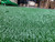 French Fitness Artificial Grass Synthetic Lawn Turf Flooring Roll 65.5' x 6.5' - Density: 21000 / 13000D
