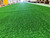 French Fitness Artificial Grass Synthetic Lawn Turf Flooring Roll 65.5' x 6.5' - Density: 21000 / 13000D