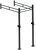 French Fitness Wall Mount Rig & Rack System 23