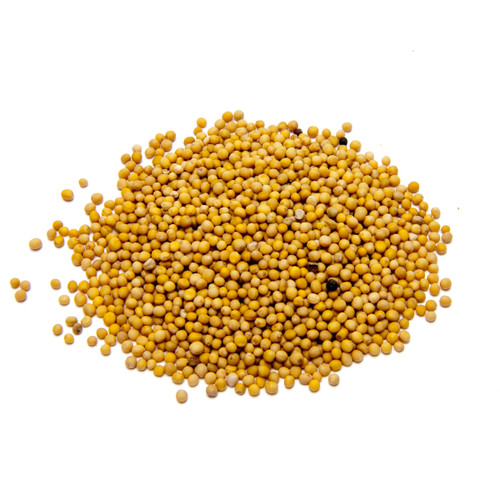 Mustard Whole Seed 700g