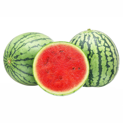 Mini Watermelon Each