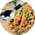 Peas & Carrots 2kg