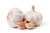 White Garlic 1kg bag