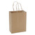 Paper Bag Plain Kraft With Handle #1 250/pk