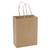 Paper Bag Plain Kraft With Handle #2 250/pk